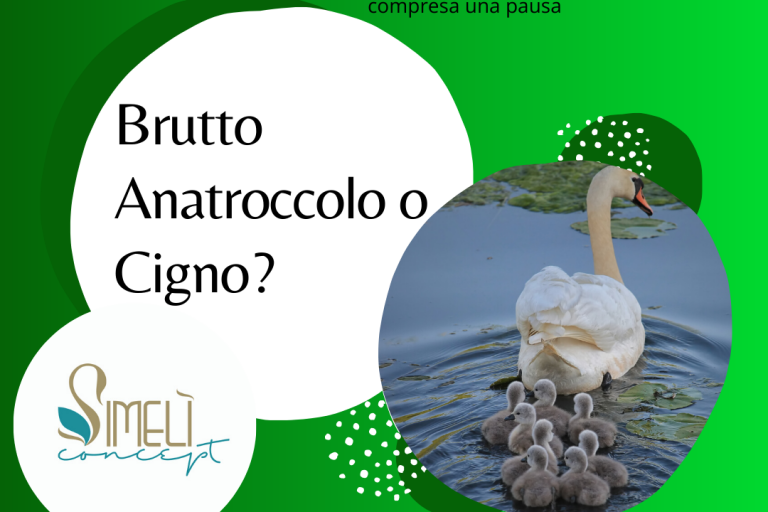 EVENTO ANATROCCOLO O CIGNO