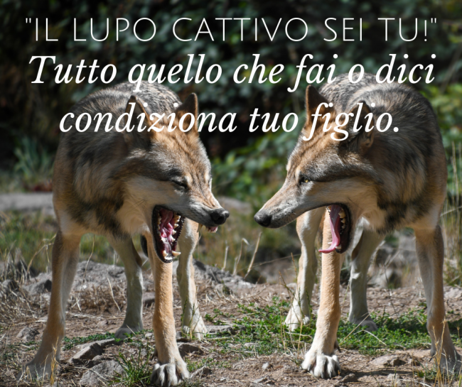 Corso il lupo cattivoIl lupo cattivo sei tu! (2)